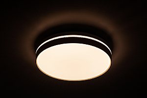 Светильник потолочный Escada 10224 10224/S LED